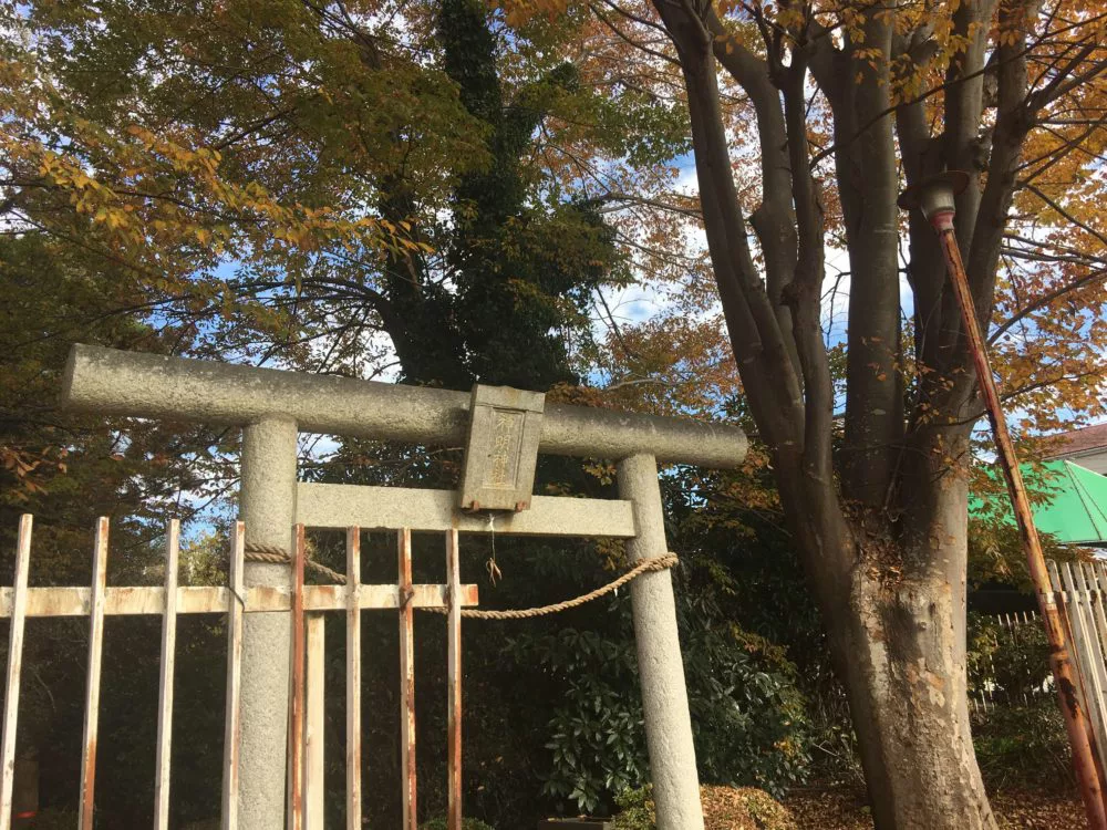 ビジネス向け