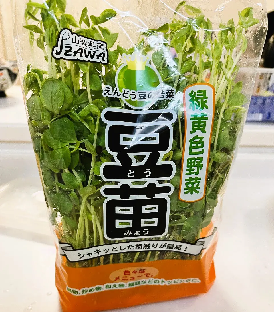 豆苗
