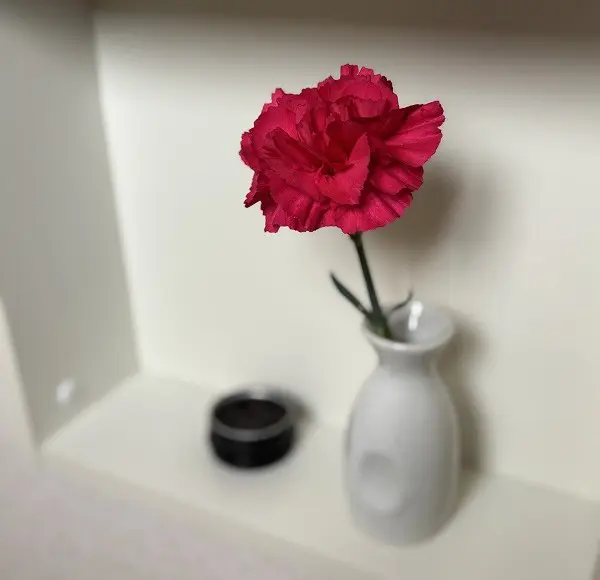 赤い花