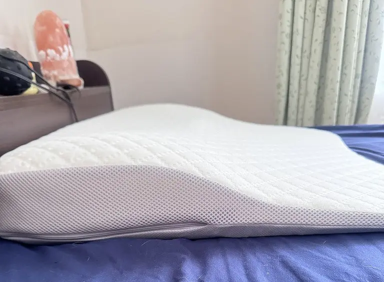 横から見たところ