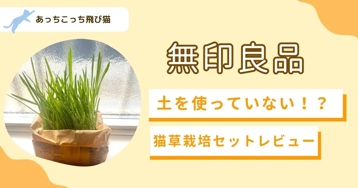 猫草