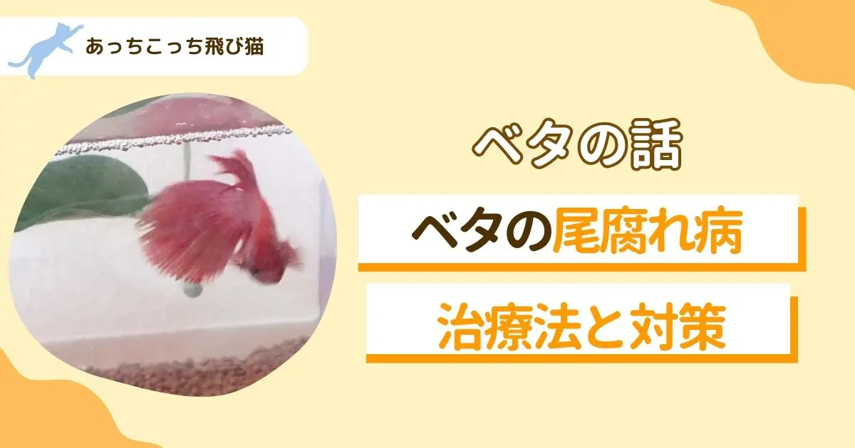 おぐされ病