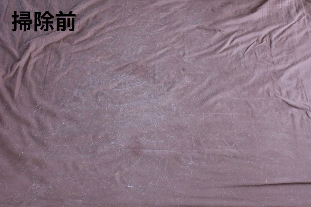 掃除前