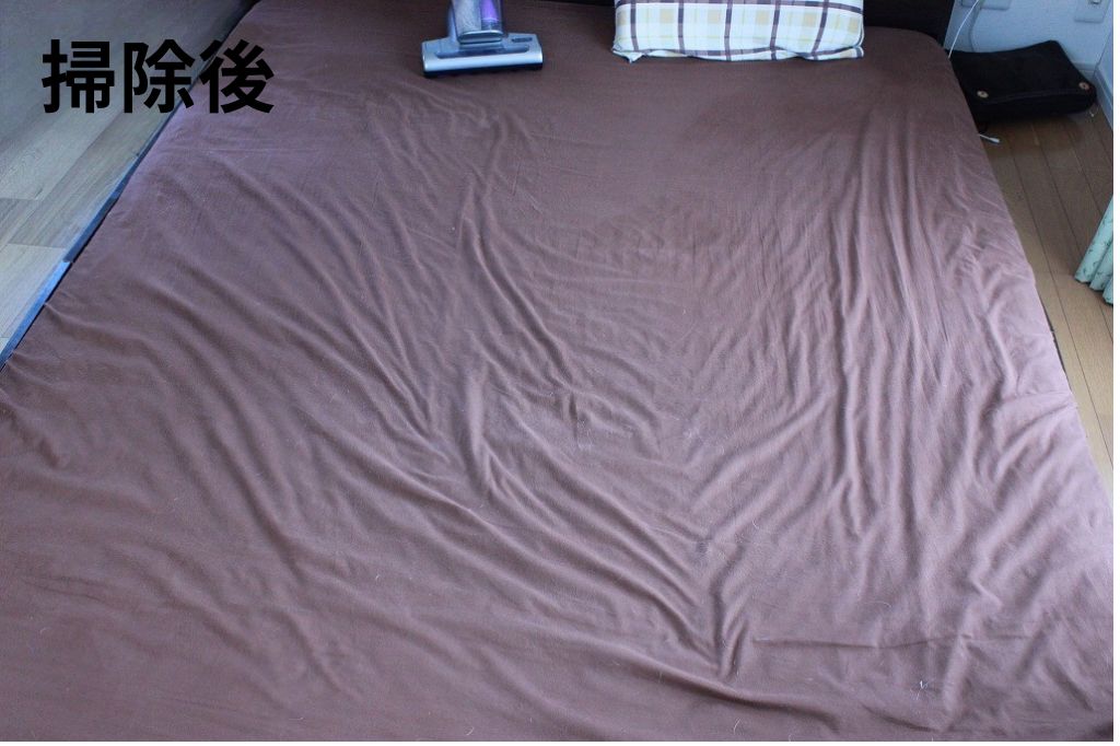 掃除後