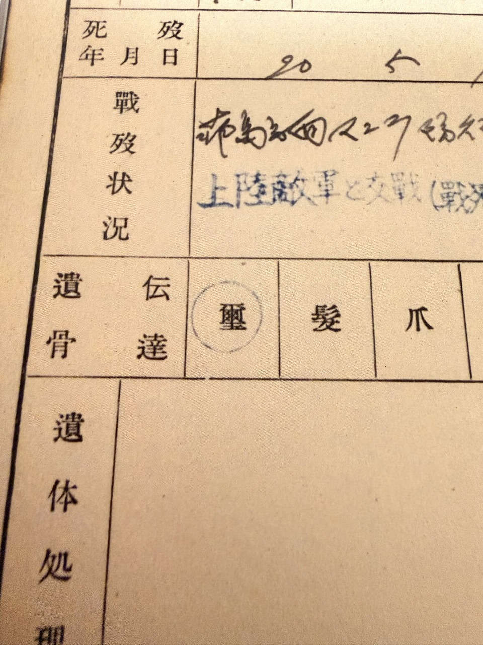 戦没者調査票
