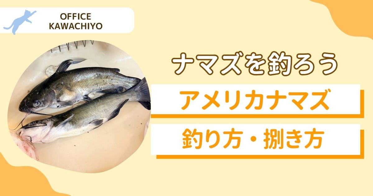 アメリカナマズ
