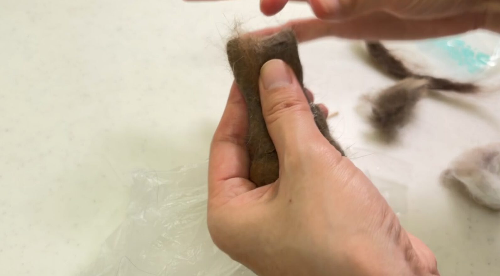 猫の毛