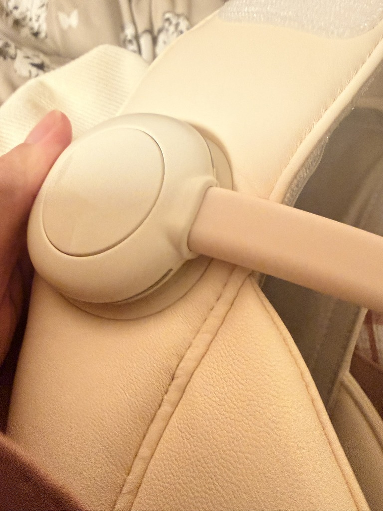 本体