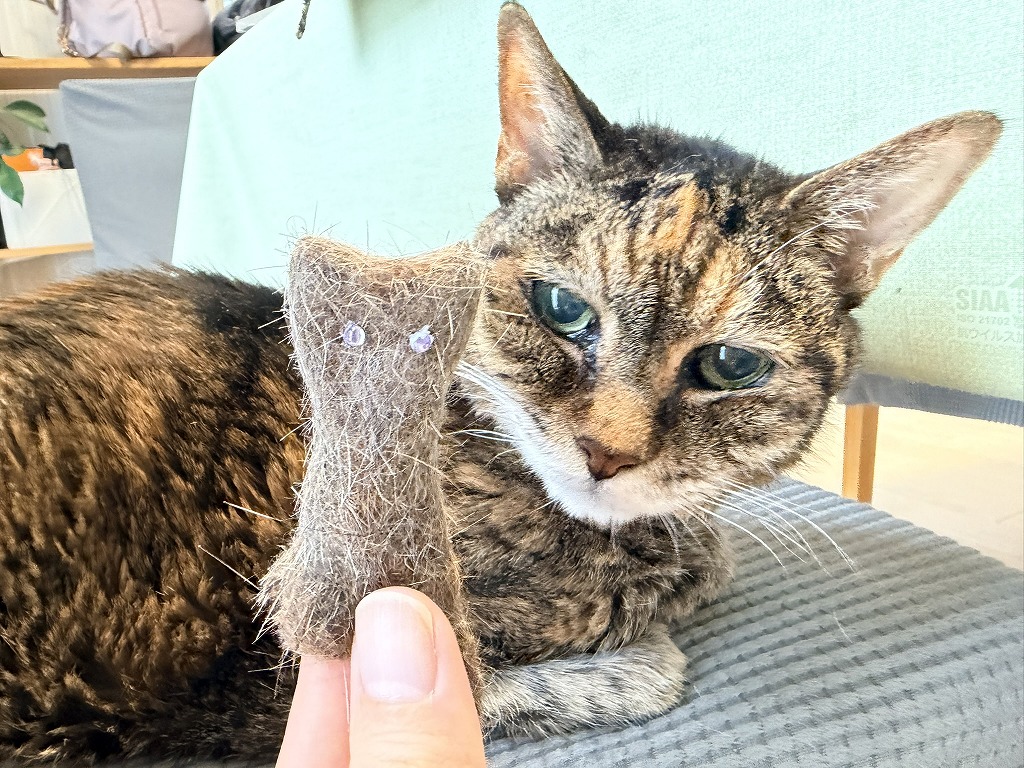 猫毛フェルト人形