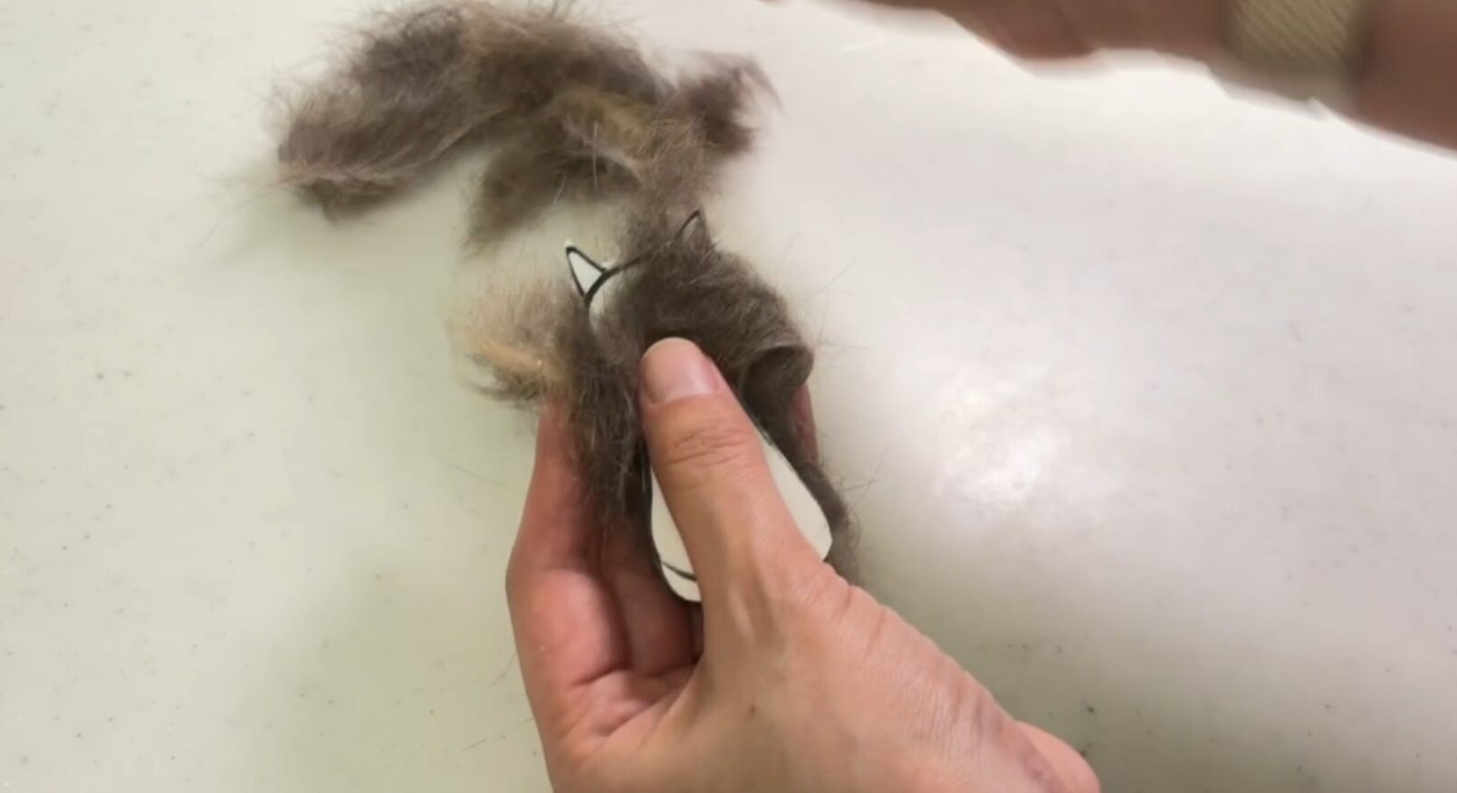 猫の毛を巻き付ける